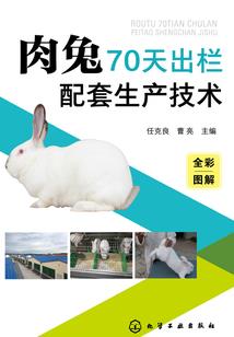 我要听绝地首手抄报