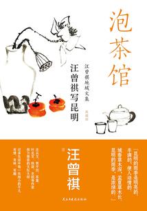 卢咪荒野之息