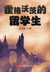 2.3版本武器属性加点