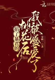 仙境手游 刺客加点