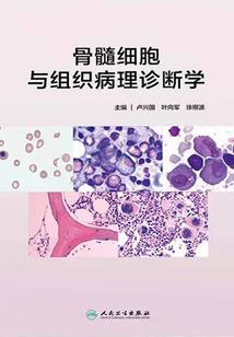 寻仙手游强化技巧