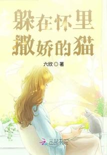 仙境传说骑士毕业装备