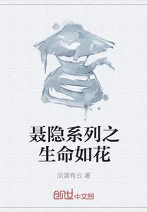 台湾地区职业比赛