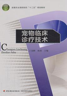 虾米我的世界虚