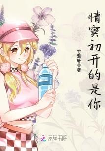 源代码奶妈皮肤多少钱