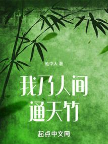 冒险岛2枫叶装备