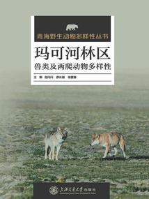 梦幻西游 制造书价格