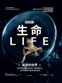 装备锻造者飞卢