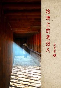 阴阳师新区任务攻略大全