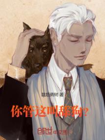 软件开发人员职业规划