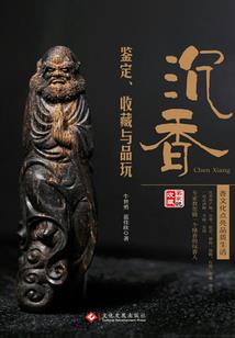 穿越手游王心