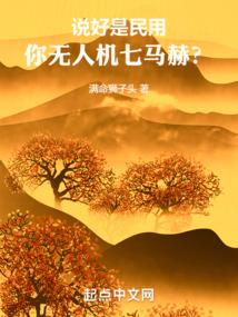 梦幻西游吧主17