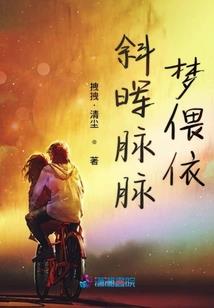 转甲装备品级