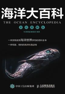 天刀 普通镖