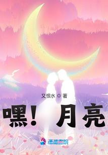 尼萨mod要求