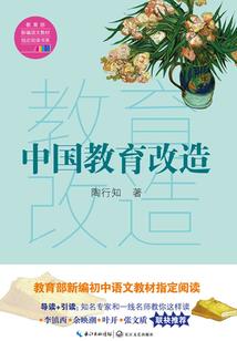 鸦片战争洋枪装备图片