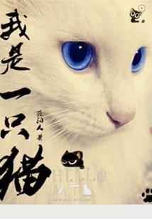 灯泡测试皮肤