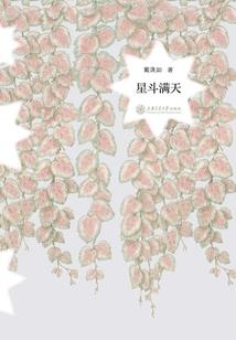 云顶之奕小小英雄哪个好看