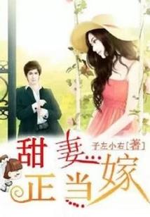 魔兽萨满图腾插件图片
