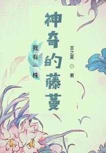 梦幻西游9877