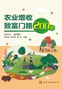 瑞娜攻略玩具