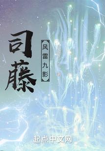 红警mod光碟