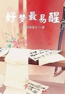 传说图纸概率mod