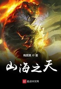 ps4外区光盘