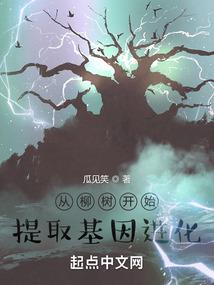 宝可梦剑恶属性精灵