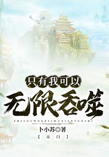 辐射 mod 推荐