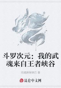 东北职业特工