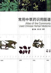 天刀等级代工