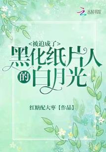 职业水平的含义