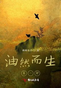 我的世界forge版本