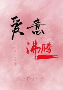 陆地龟的五行属性