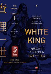魔兽世界吉安娜h文
