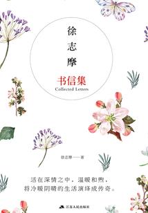 无线网卡lol