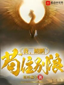 英雄联盟胖子主播pdd