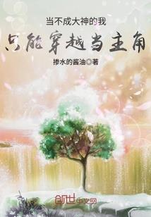 看音乐节攻略