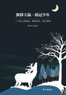 梦幻西游小说鉴定