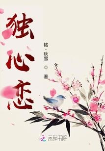 灵魂风暴 mod