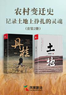 仙境传说 属性卡