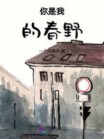 元骑士破解版