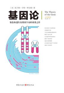 天刀江山捏