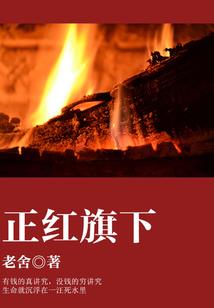我的世界的月亮怪物视频