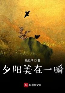 口袋妖怪暗黑装备