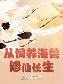 荒野间谍海龟