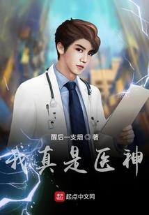 无冬之夜3 mod