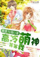 荒野超长滑梯