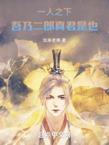 武极辅助装备